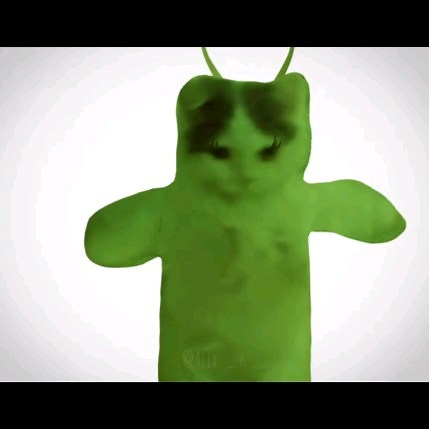 Contenido de Perritos y Gatitos on Instagram: "Una joya musical, enviaselo a tu alien 👽 | Sígueme para mas contenido @michis_random ▬▬▬▬▬▬⇾HashTag⇽▬▬▬▬▬▬ #fyp #parati #foryou #memes #memes #gracioso #reels #momos #cursed #viral #animalmemes #bongocat #cat #cats #funnycat #funny #gatos #humor #gatitos #michis #michismemes #gatoschistosos"