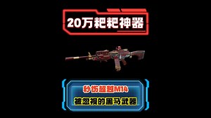 20万以小博大粑粑神器 秒伤超越M14 机枪改步枪M249