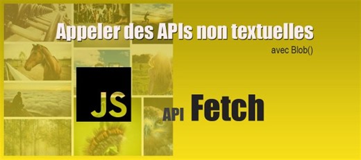 3/4. Api Fetch JS. Contacter des données non textuelles - Extrait de formation | Tuto.com
