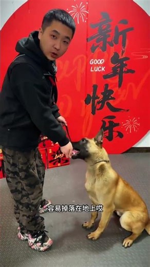 Train Your Shy Dog with Yummy Treats