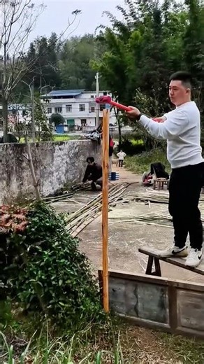 Hammering Wooden Piles, This Operation Is Too Shocking