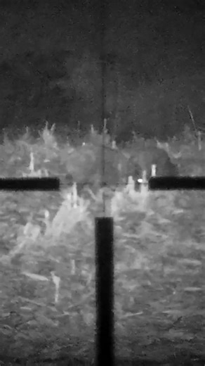 Wild Boar Hunting 2/2025