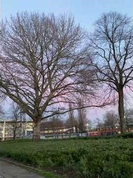 Netherland beautiful place