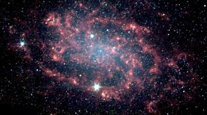 Former NASA Astronaut Edgar Mitchell said this on a radio station discussion on July 23, 2008: "I happen to be privileged enough to be in on the fact that we have been visited on this planet, and the UFO phenomenon is real. It’s been covered up by all our governments for the last 60 years or so." NASA issued an official statement responding to this allegation: "NASA does not track UFOs. NASA is not involved in any sort of cover-up about alien life on this planet or anywhere in the universe. Dr. 