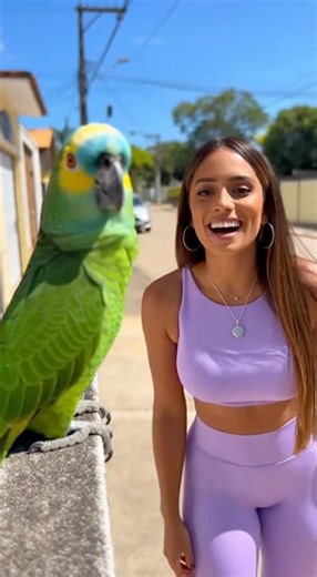 E SE BELEZA FOSSE CRIME? 😂🦜 #viral #shorts #papagaio #funny