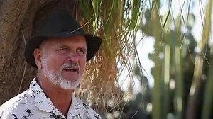 3.2K views · 232 reactions | Discover Australia’s largest cactus farm...