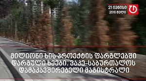 110K views · 397 reactions | გამხმარი ახლადჩარგული ხეები ვაკე-საბურთალოს დამაკავშირებელ მაგისტრალზე. | Tabula - ტაბულა | Facebook