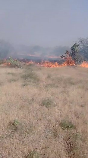 Understanding Wildfire Safety in Outdoor Settings