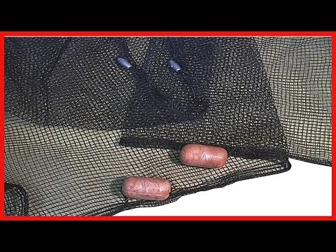 Frabill 2154 Fishing Net: Durable, Versatile, and Ready for Any Project