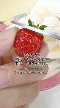 #検証 🍓いちごの皮を土に植えたら、１年３ケ月後どうなる？？Strawberry's 1 year and 3 months verification video. #家庭菜園 #リボベジ