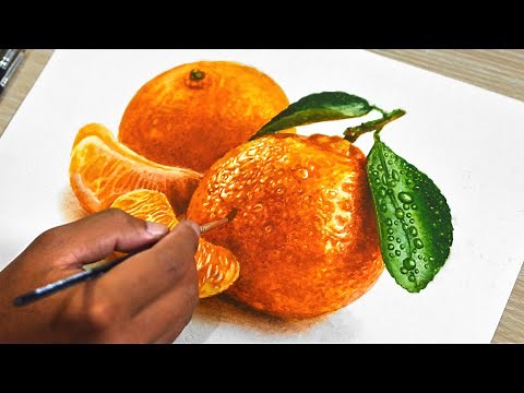 Watercolor Painting of Orange Fruits
