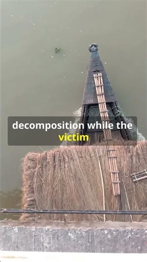 Persia’s Cruelest Justice: Scaphism - ‘The Boats’ #persia #ancienthistory #medival #history #iran