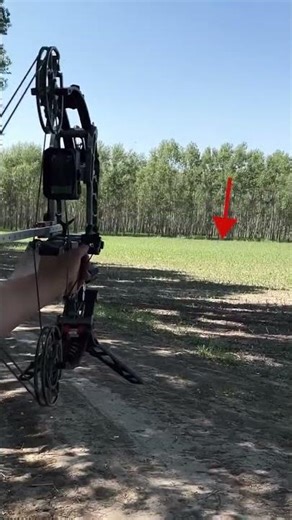 Long distance shooting challenge🎯 #compoundbow #shootingchallenge #archerychallenge #archerymaster