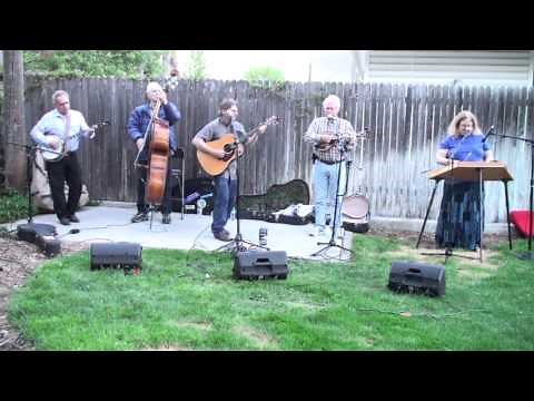 Live Bluegrass Music