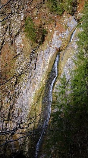 Crystal Clear Mountain Spring | 4K Relaxing Water Flow | Pure Nature Sounds