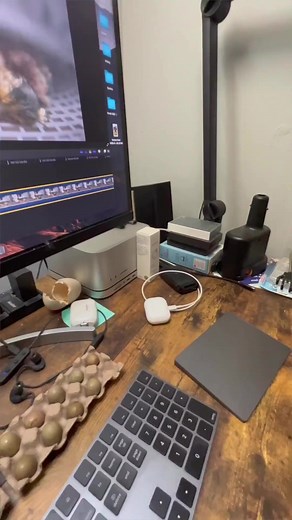 I caught a cute moment between our duckling and pheasant chick. #mandarin #mandarinduckling #pheasant #pheasantchick #snuggle #birdsnuggle | White House on the Hill