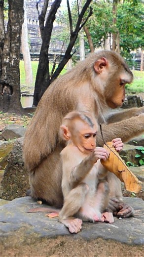 Luna Shows No More Love in Feeding Moments | Alien TV