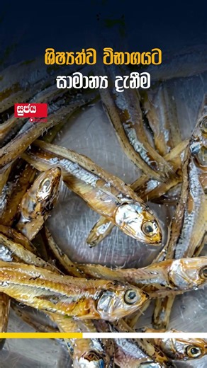 ශිෂ්‍යත්ව විභාගයට සාමාන්‍ය දැනීම