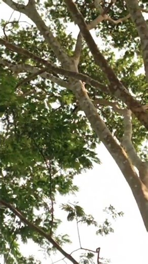 # Ghaziabad Satta open pubg chalu kar do