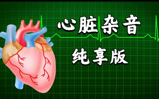 全网最新最全(50种)心音听诊(附讲解)