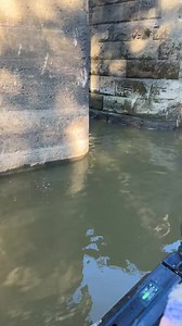 Netted a blue and was like dang should of recorded that then boom netted a mini stink and got the second chance | Zane Stith