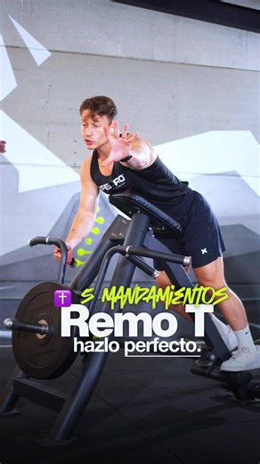 Remo en máquina: 5 mandamientos para trabajar el dorsal