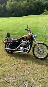 This 2008 Sportster 1200 Custom is a 105th anniversary edition with some awesome special features - Steve Hogan's got the details! Give us a call with any questions or to schedule a test ride! (https://hdofasheville.com/Swannanoa-NC-28778/Used-2008-Harley-Davidson-Sportster-1200-Custom/VDP/6c495d0a-2028-4e48-a3a0-492a24939b5b) | Harley-Davidson of Asheville