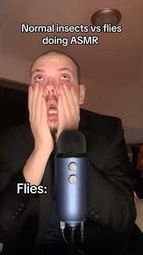 Normal Insects VS Flies Doing ASMR #asmr cred to: ‪@ariaisdelux‬