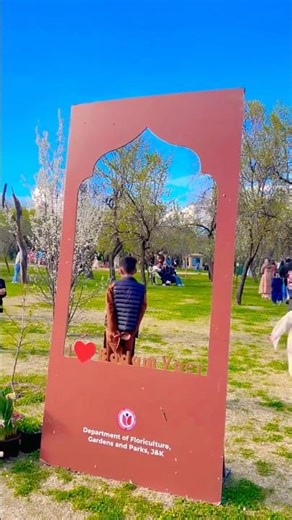 spring vibes |spring season in kashmir |flowers bloom |badamvaer