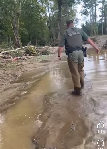 1.4M views · 31K reactions | Watch as Tennessee Wildlife Resources Agency game wardens rescue a dog from flooding caused by Helene. #dog #rescue #wildlife #heleb #Tennessee #flood | Amanda Hara | Facebook