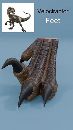 Jurassic World Rebirth Aquilops Feet vs Distortus rex Feet #shorts #memes | CGI View