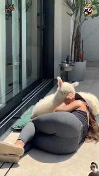 Animals Showing Pure Love ❤️ Heartwarming Moments Caught on Camera