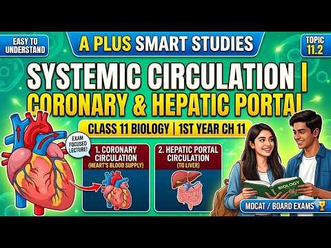 Class 11 Biology Systemic Circulation | Coronary and Hepatic Portal | 1st Year Chapter 11 | A Plus