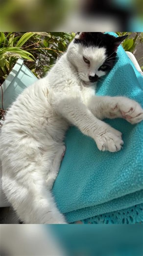 @villecannes @Provence-Alpes-Côte d'Azur @francetourisme.gouv @LADIES_GENTLEMEN_CLUB ⚜️CANNES ⚜️CROISETTE 🇫🇷⚜️ Ladies_Gentlemen_Club_International_Meetup. Com ⚜️❤️ https://instagram.com/ladies_gentlemen_club ⚜️❤️ meetup@LADIES_GENTLEMEN_CLUB ⚜️❤️ https://www.meetup.com/fr-FR/ladies_gentlemen/events/ ⚜️❤️ https://www.instagram.com/ladies_gentlemen_club/ ⚜️❤️ Youtube@Ladies_Gentlemen ⚜️❤️ https://www.youtube.com/@decideagencyflorencedebarr4226 ⚜️❤️ Tiktok@Ladies_Gentlemen ⚜️❤️ https://www.tiktok