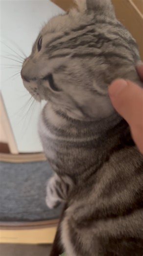 振り返り美人❤️