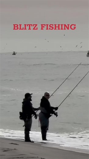 #blitz #fishing #fromthesurf #stripedbassfishing #fishtoks