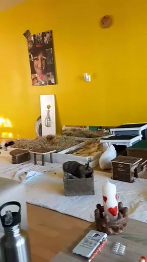 Aaaw mijn kleintjes 😘🥰toen kon sterre nog zien😫 | Brigitte Pfann