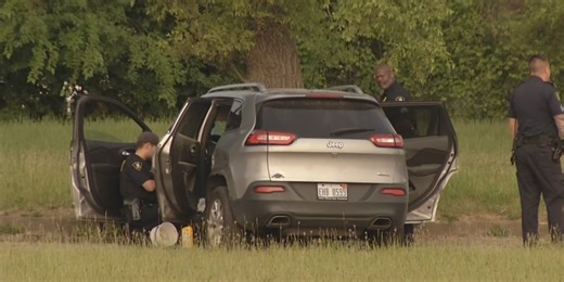 Man arrested following assault, fires, police chase