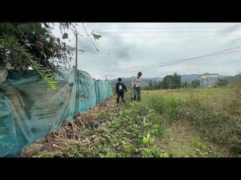 The couple worked together to help their son complete his last homework assignment of the holiday...