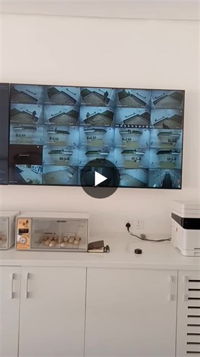 #falconry #avianmedicine #falconbreeding #veterinaryscience #incubation #wildlifecare #qualitycontrol | Ahsan Tanveer