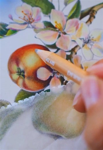 Grayscale coloring pages are one of the easiest ways to create depth and a more realistic look, even with challenging mediums like watercolor or colored pencils. Even if you’ve never drawn before. It’s a little bit like cheating… but when has that ever stopped us? 😉 #adultcoloring #grayscalecoloring #coloringbookart #pinegashore #coloredpencilart