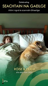 7.8K views · 126 reactions | In support of Seachtain na Gaeilge, the...