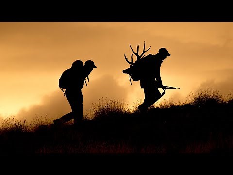 211" Nevada Mule Deer Hunt