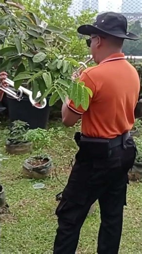 Saxophone, Terompet, Clarinet, Trombone ,French Horn|| Gladi#shorts