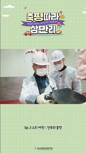 🤖 한우 등급, AI가 이렇게 판정합니다 _축평따라삼만리 EP.3 [소 편]
