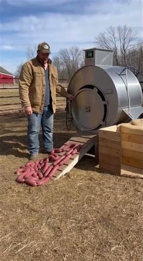 Magic Machine Turns the Pig into Sausages?! 🐷✨🌭😂 #animals #kindnessiscool #cuteanimals