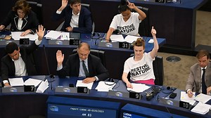 EU countries approve landmark nature law after delays