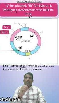 Plamid pBR322 #biology#plasmids #neet2025 #medicalstudent #ncertsolutions #neet #biotechnology