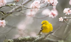 Encouragement For Those Who Feel They Have Lost Hope