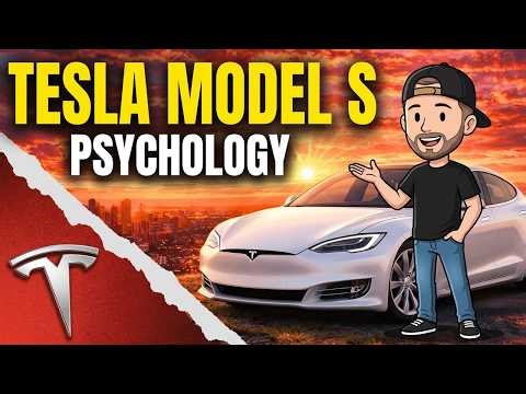 The Psychology of Tesla Model S Owners